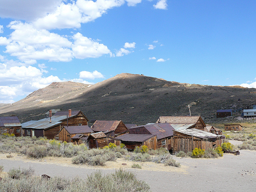 Bodie